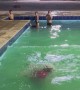 Older Woman Backflips Into Swimming Pool