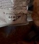 Naughty Cat Breaks Into Bag of Kibble