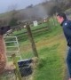 Man Gets a Dose of His Own Medicine From a Lama