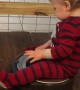 Toddler Loves Riding Roomba