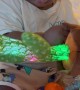 Baby Reacts to Talking Cactus Toy