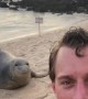 POV: You found a new friend in Hawaii