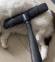 Cat Loves the Vacuum Cleaner