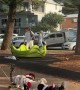 Pack of Costumed Dogs Ride on Train of Skateboards