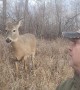 White-tailed Deer Loves Shakespeare