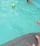 Daughter Accidentally Pulled Into Pool
