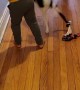 Kids Play Tug With Feisty Pup