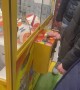 Foolproof Claw Machine Trick