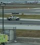 Dog On The Loose At Toronto International Airport