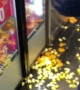 Swinging Door Spills Popcorn