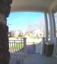 Squirrels Mate in Front of Doorbell Camera