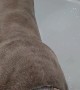 Pup Joins Owner For a Bath