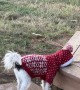 Jack Doesn't Like His New Sweater