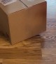 Cat Pushes Boxes Around