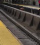 Loose Bull Spotted Running on Train Tracks in New Jersey