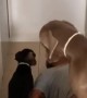 Man Tests His Dogs' Reactions