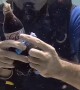 Mentos and Coke Fizz Underwater