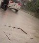 Motorist Fails To Watch Road