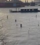 Hamburg, Germany hit by heavy floods