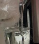 Running Faucet Doesn't Deter Thirsty Cat