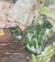 Stinkbug Found in Grocery Store Salad