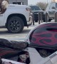 Husky Hangs Out On Motorcycle Car Seat