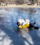 Firefighters rescue dog from icy pond