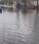 Street in New Jersey gets totally flooded after storm 