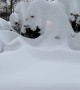 Deep Snow Buries Homes in Norway