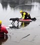 Firefighters save dog who fell into icy waters of Lake Tapps