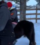 Mini Pony Rodeo