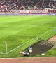 Stray Dog Disrupts Pro Soccer Match to Help Water the Grass