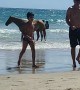 Horses Have a Beach Day