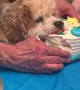 Jasper Decides He Can Have His Cake and Eat it Too