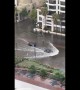 Incredible tesla car goes through extreme flooded street in San Diego 