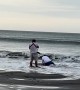 Romantic Beach Photoshoot Fail