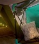 Family Builds Pillow Fort