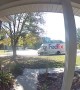 Chihuahua Chases After FedEx Driver