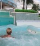 Ocean Turns Regular Pool Into Wave Pool
