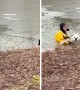 Firefighters rescue dog after falling through ice