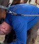 Horse Nibbles Farrier's Head