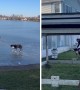 Playful Pup Rescued From Frozen Lake