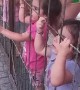 Little Hands Line Up For Kisses