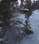 Snowboarders Crash Into Trees