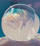 Mesmerizing Frozen Bubbles
