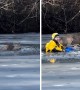 Firefighter rescues deer from frozen river