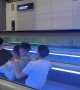 Boys Row Down Moving Sidewalk