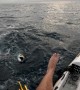 Shark Hits Kayaker