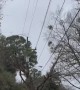 Transformer Blows Up in Norfolk Neighborhood
