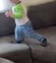 Toddler's Head Finds Hardest Part Of Couch
